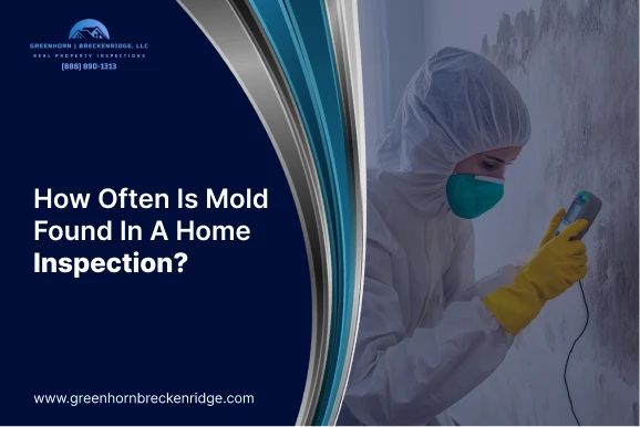 How Often Is Mold Found In A Home Inspection?