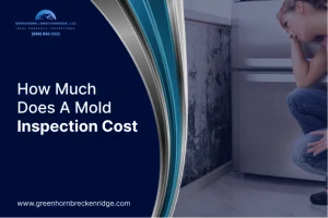 Mold Inspection Cost and Detection Guide
