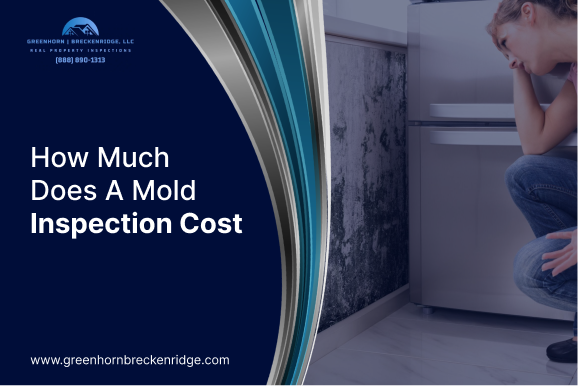 Mold Inspection Cost and Detection Guide